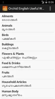 Orchid English Useful Words android App screenshot 2